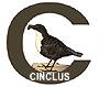 Back to Cinclus C Sportfiskeguide start page