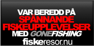 Fiskeresor.nu / Gonefishing